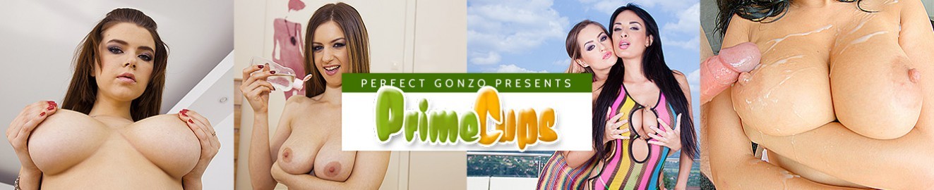 Prime Cups banner
